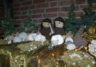 Kerststal2022-39.jpg