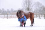 Winterfoto wedstrijd